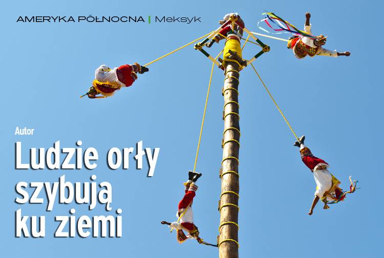 Losowy darmowy artykuł